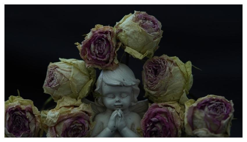 Angel Pray Grief Black Background