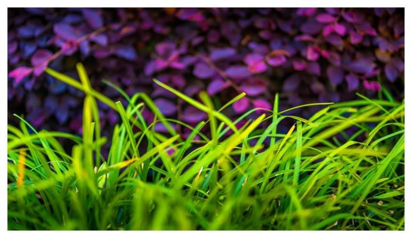 Vibrant Colorful Abstract Daylight