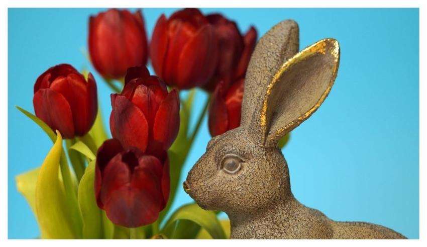 Easter Bunny Happy Easter Flower Wallpaper Easter