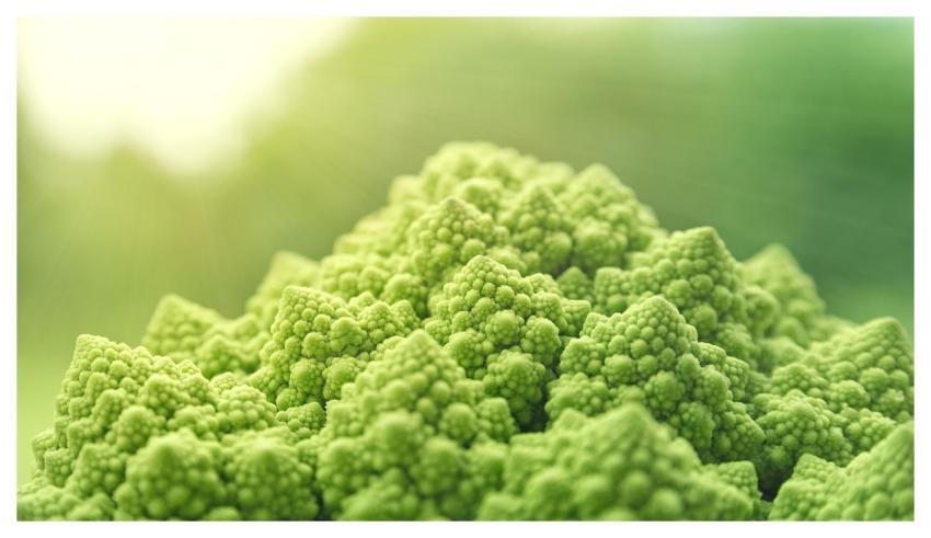 Romanesco Vegetables Green Food