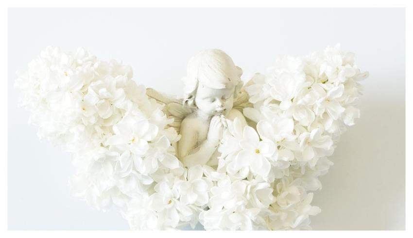 Angel Angel Wings Mac Wallpaper Laptop Wallpaper