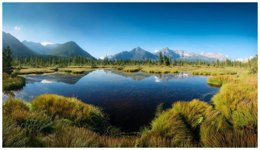 A peaceful mountain lake surrounded by lush greene