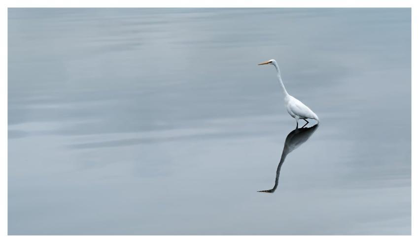 Water Nature Reflection Liquid