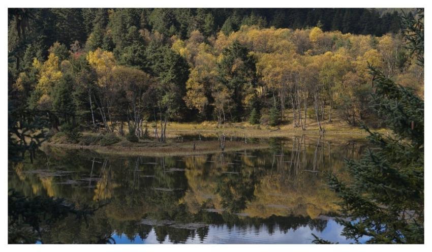 Putatos Naional Park Pudacuo National Park Shangri