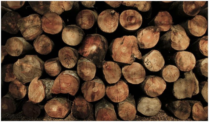 A rustic stack of cut logs showcasing natural wood