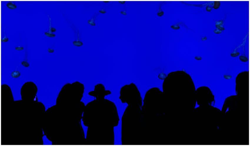 Crowd of silhouettes watching jellyfish in a vibra