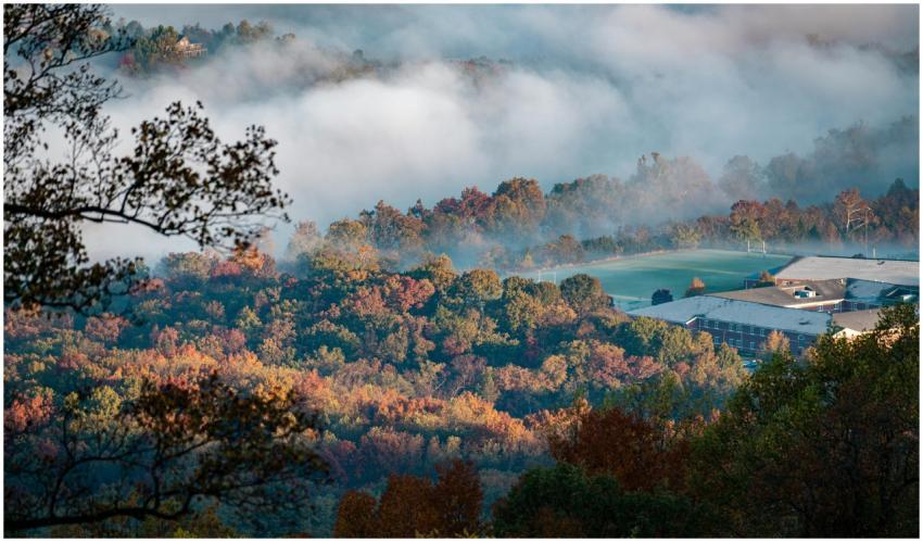 Aerial view of fog rolling over a vibrant autumn f
