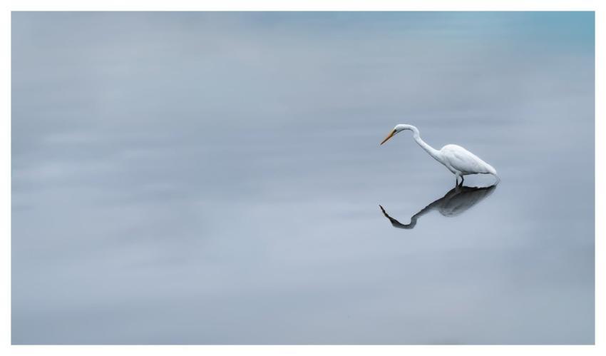 Water Nature Reflection Liquid