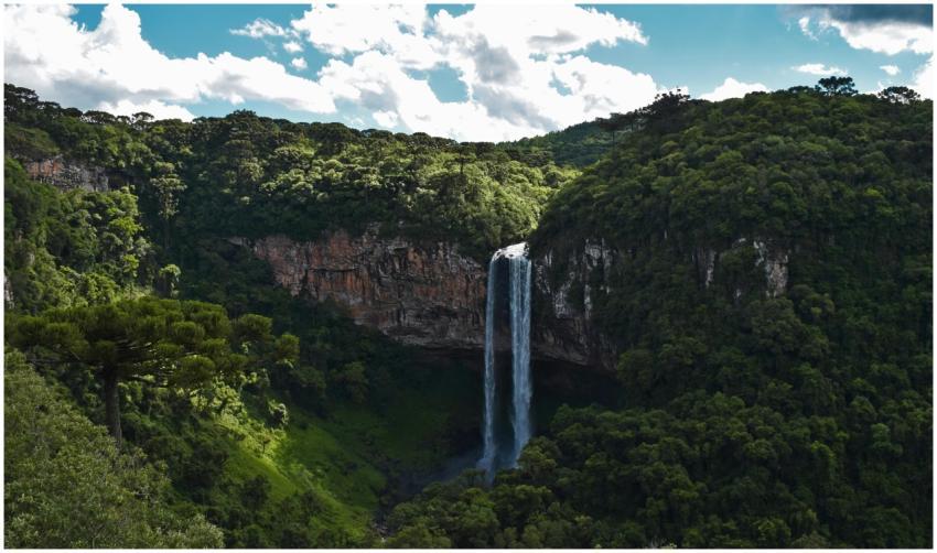 Explore the stunning waterfall amidst lush greener