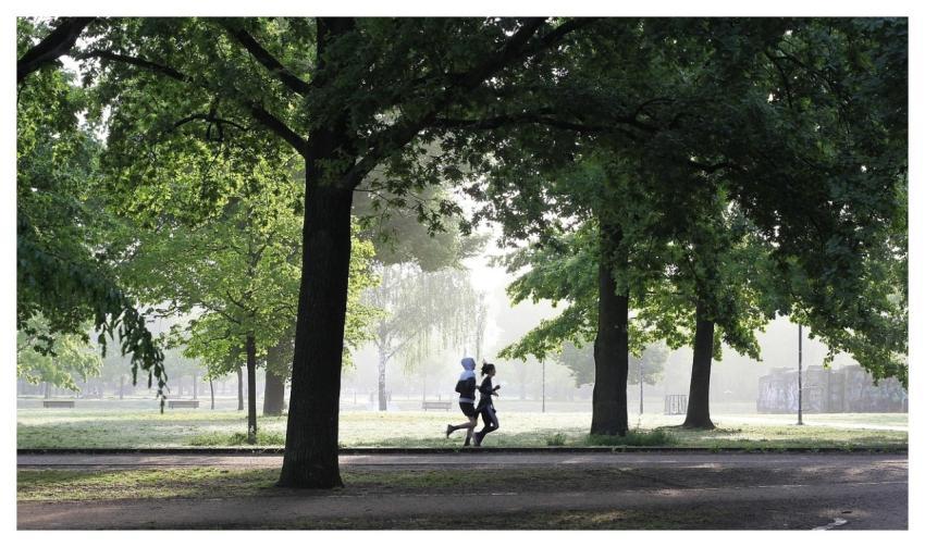 Jogging Fitness Jogger Movement