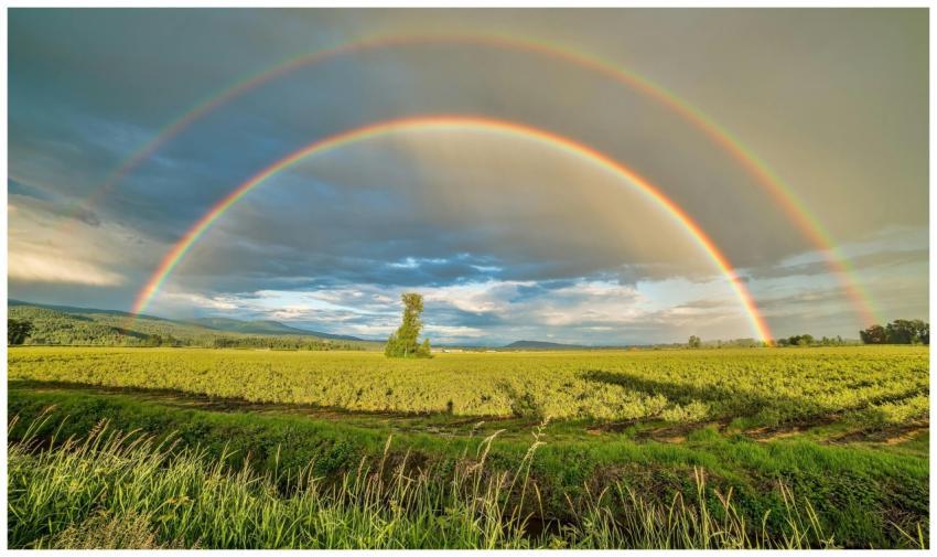 Stunning double rainbow arches over vibrant farmla