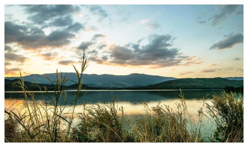 Reflection Nature Lake Water