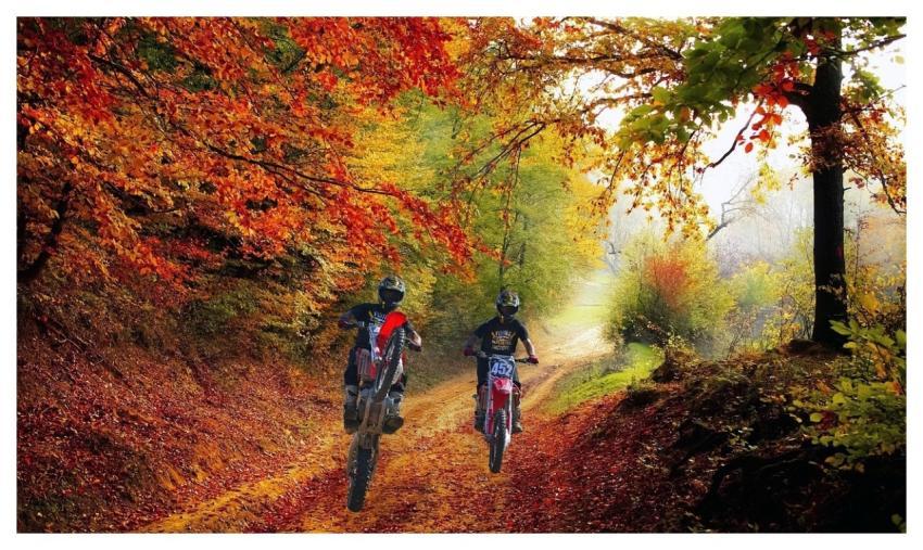 Enduro Autumn Motorcycles Motorbikes