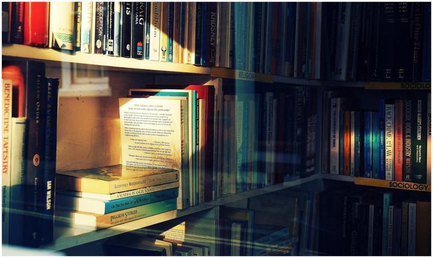 Sunlit bookshelf filled with an assortment of book