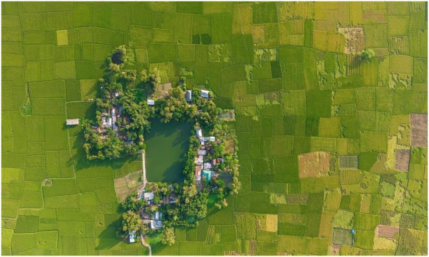 Beautiful Bangladesh