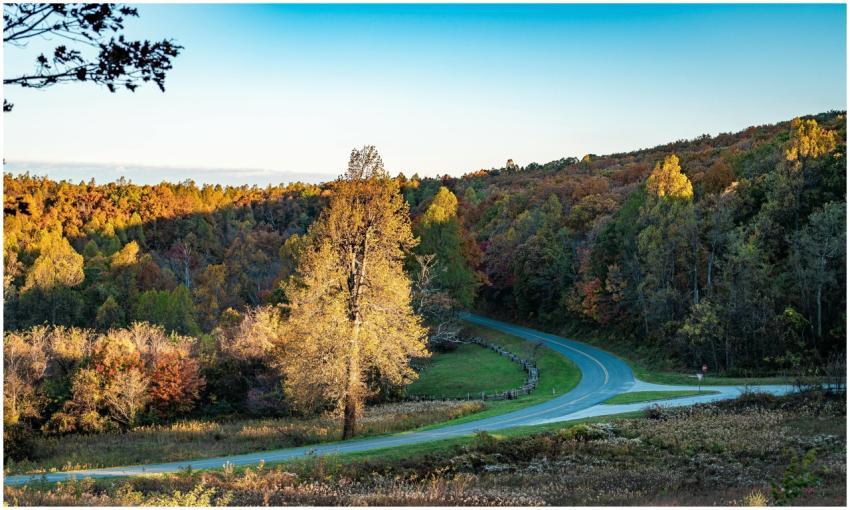 Winding road through a colorful autumn forest with