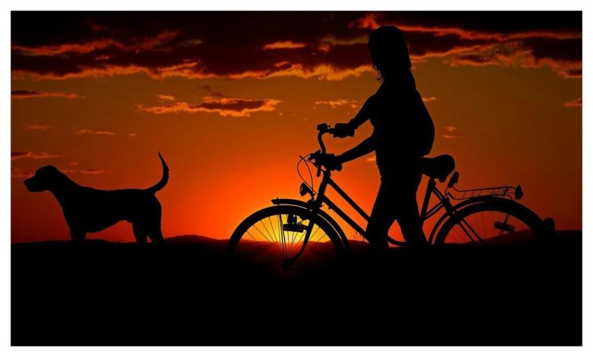 Woman Bike Sunset Walk