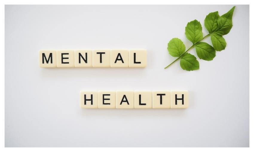 Mental Health Mental Wellness Balanced Diet Challe