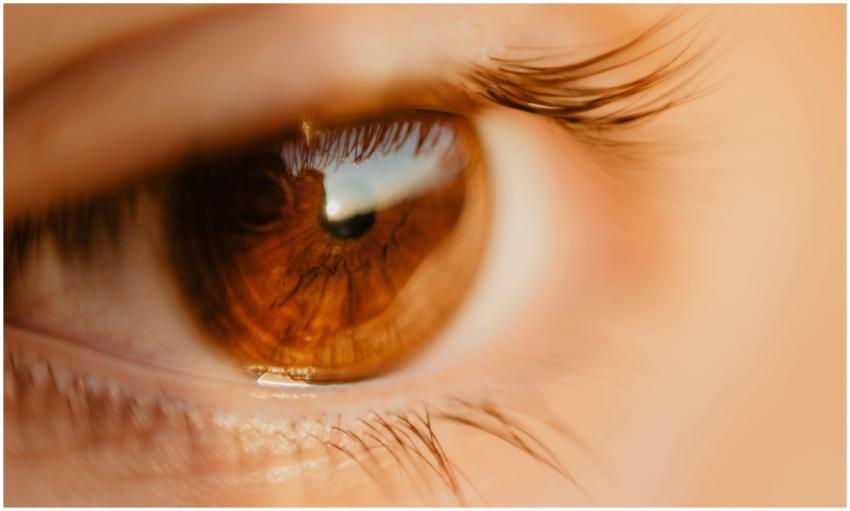 Detailed macro shot of a brown eye highlighting ey