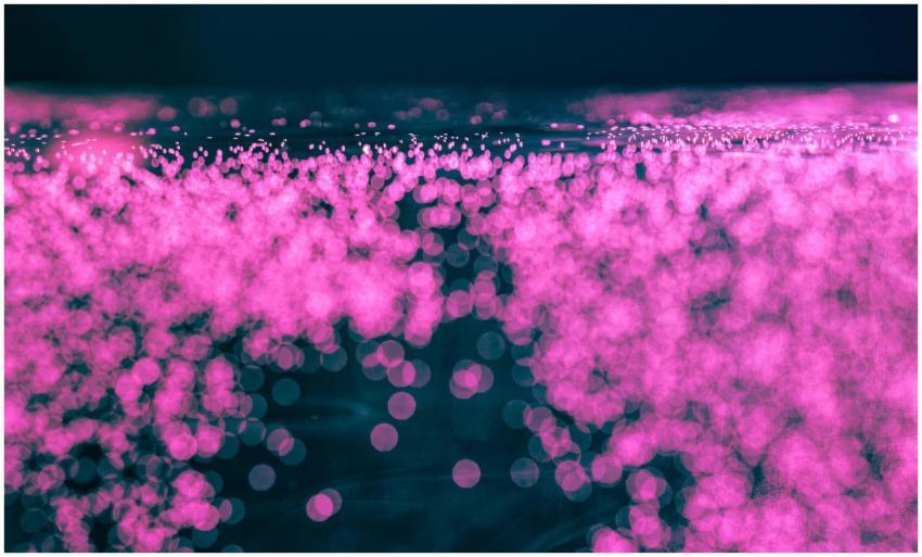 Free stock photo of bubble, bubbles, experimental