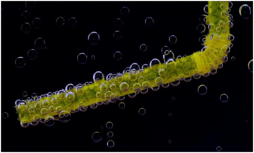 Close-up shot of a yellow straw submerged in liqui