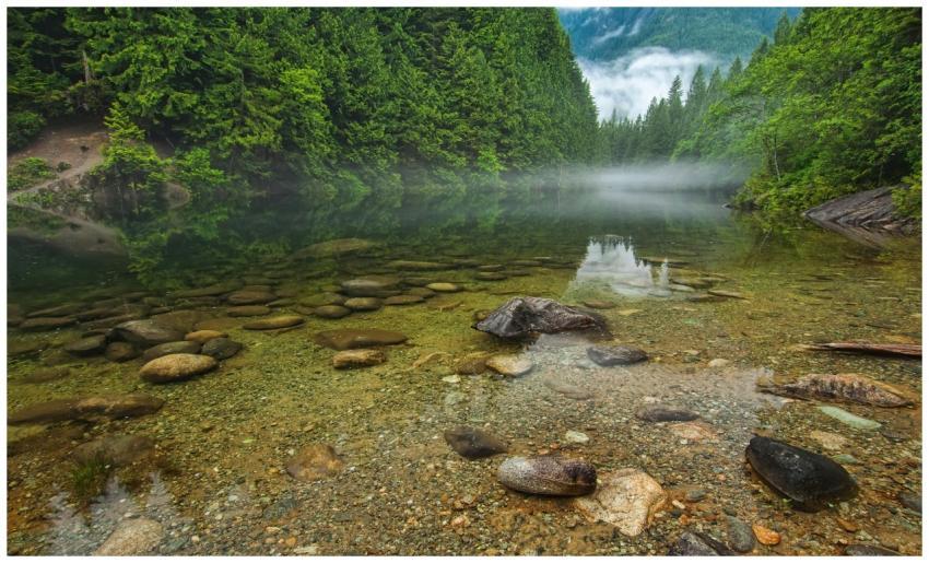 Tranquil river scene in Maple Ridge, BC, with clea