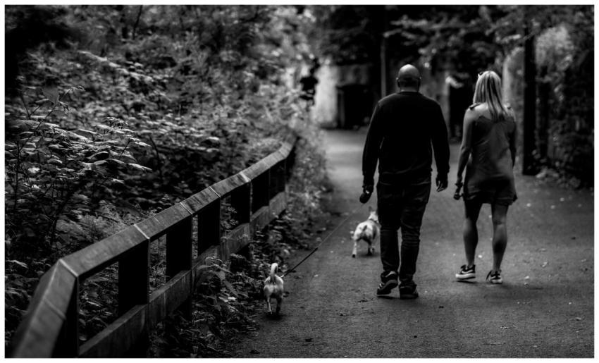 A couple enjoying a walk with their dogs along a f