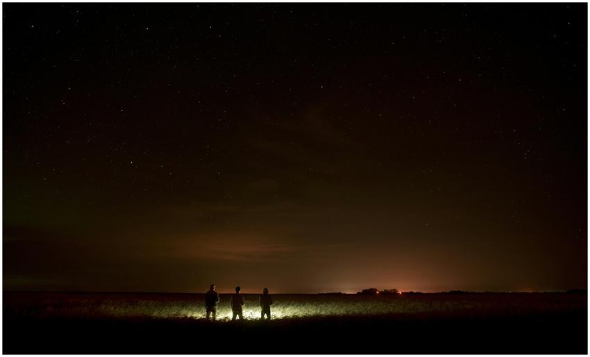 Three people under a starlit sky with distant city