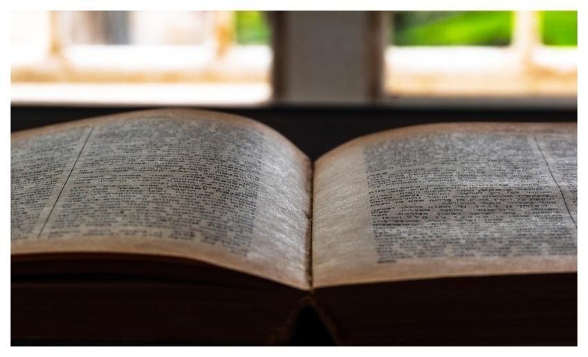 Book Literature Study Education