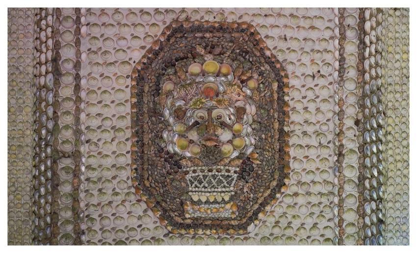 Seashells Wallpaper 4K Face Desktop Backgrounds