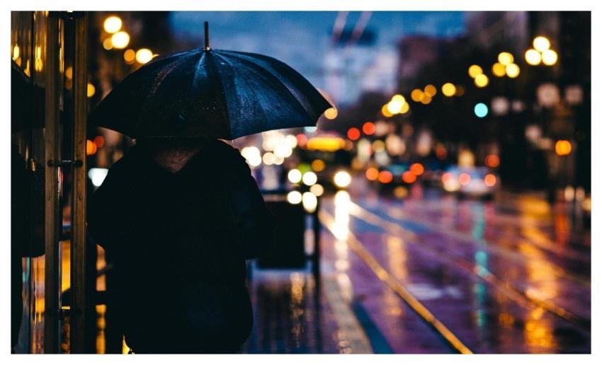 Adult Blur Nature Bokeh