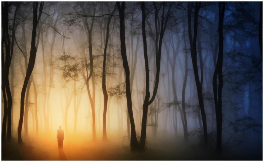 A solitary figure silhouetted against a mystical f