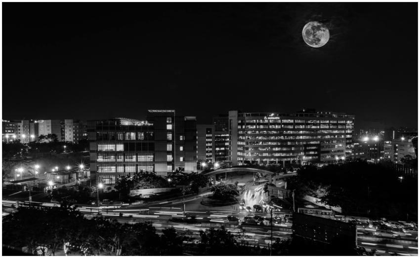 Elegant black and white cityscape at night featuri