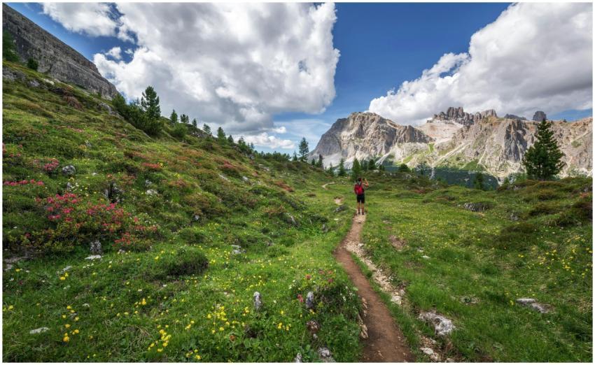 A lone hiker explores a stunning trail surrounded