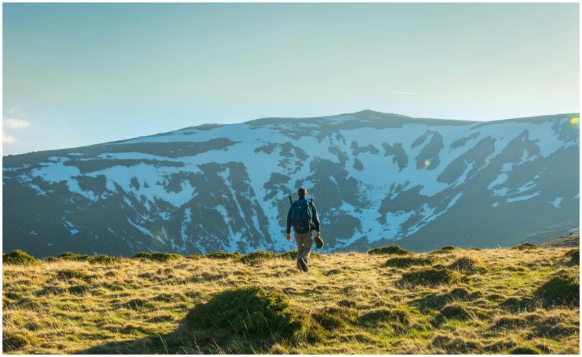 An adventurer walks through a sunlit grassland tow