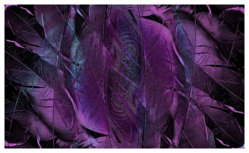 Feather Pattern Texture Form