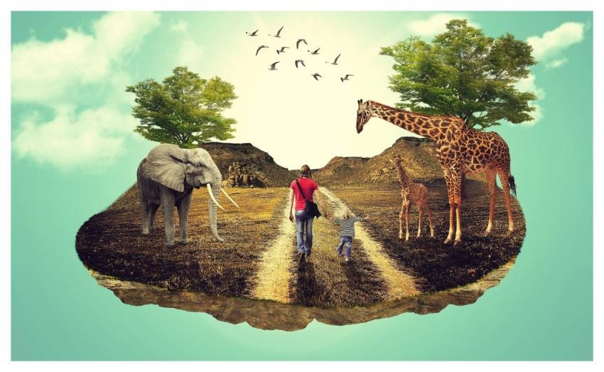 Landscapedesign Photomanipulations Digitalart Art