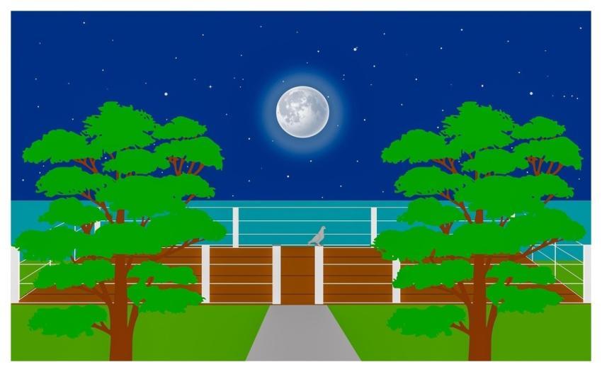 Deck Dock Water Park