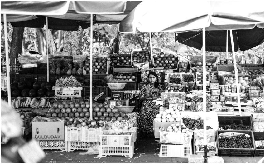 Free stock photo of bengalore, black and white, ca