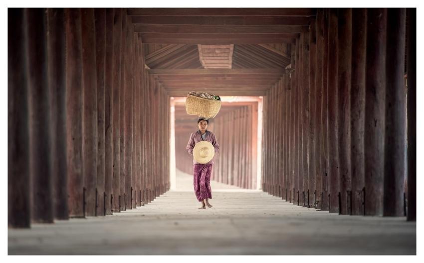 Outdoor Rice Seeds Carry Wheat