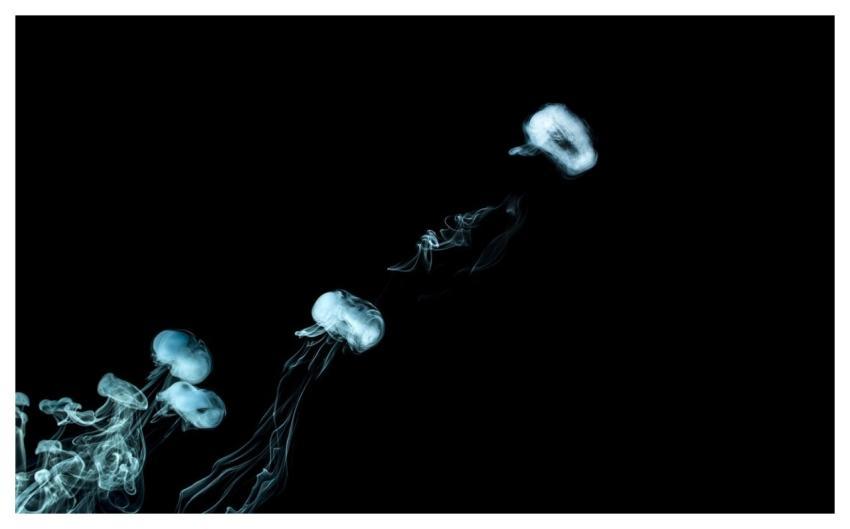 Smoke Rings Fog Abstract