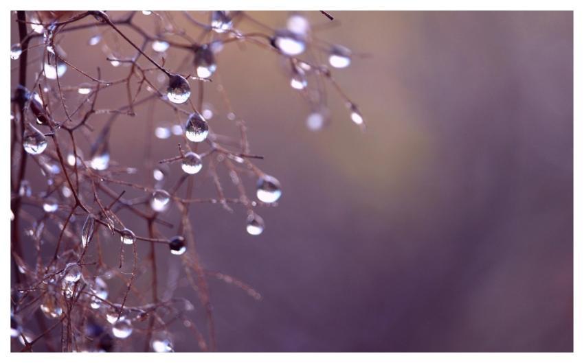 Drops Laptop Wallpaper Droplets Rain