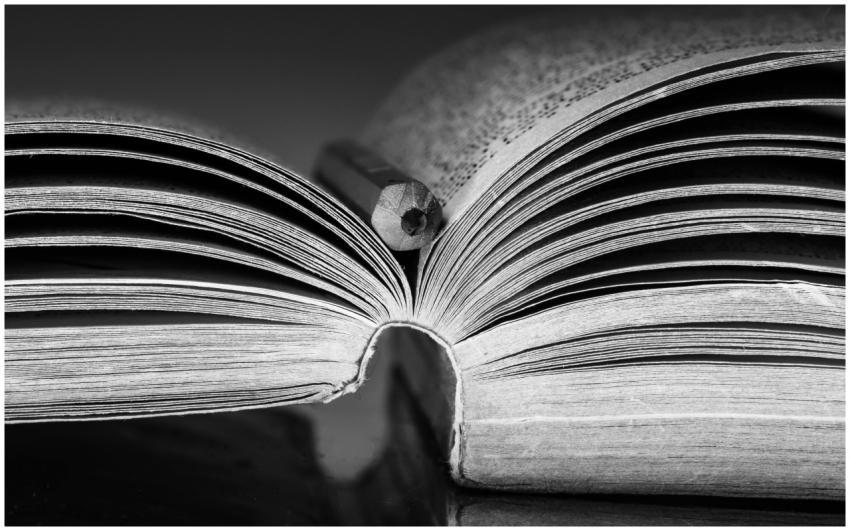 Artistic black and white close-up of an open book