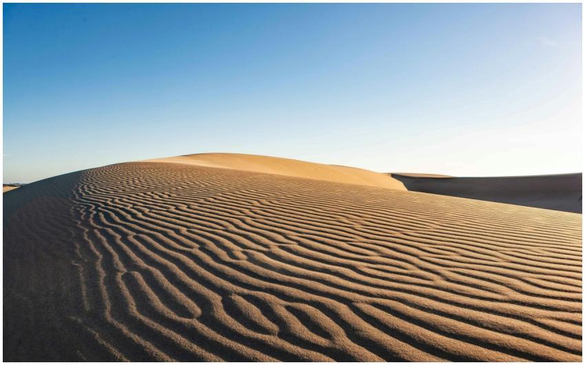 Beautiful sand dunes in Florence, Oregon showcasin