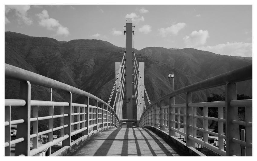 Bridge Stone Bridge Bordeaux Coat Of Arms