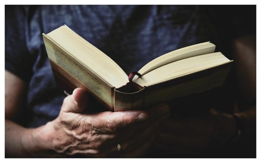 Book Read Hands Literature
