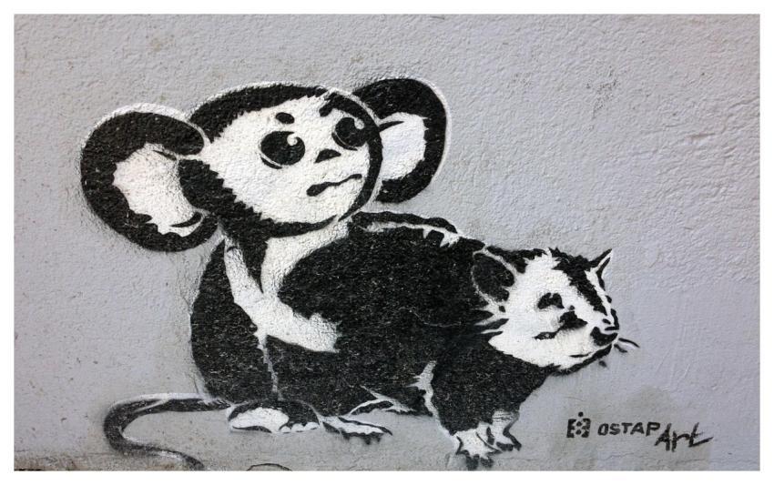 Street Art Urban Art Wall Painting Art