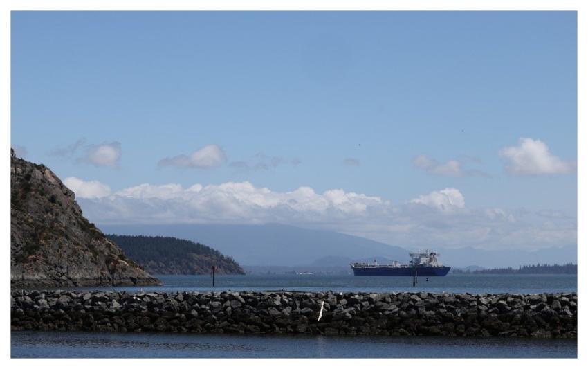 Sea Puget Sound Water Spring