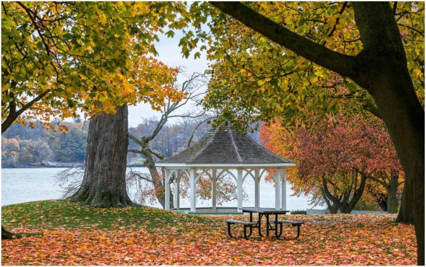 Free stock photo of fall ambiance