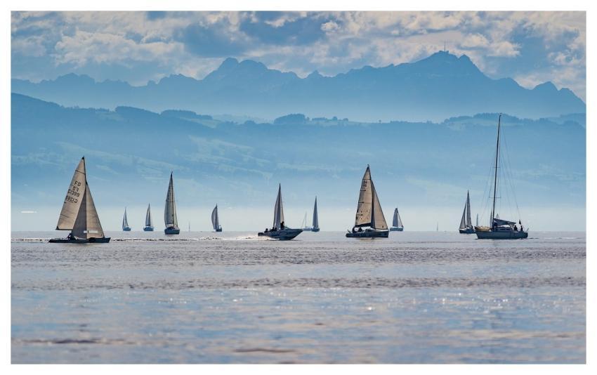 Sailboats Regatta Lake Constance Sailing